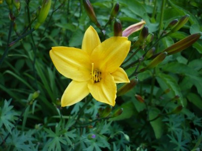 baumarkt noname die erste1.jpg