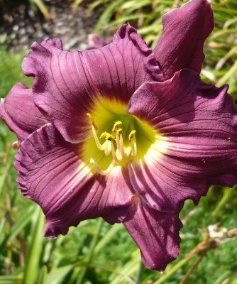 baumarkt noname die zweite1.jpg