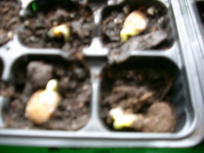 JD800070.JPG