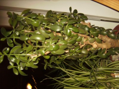 BILD3628.JPG