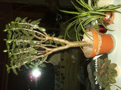 BILD3626.JPG