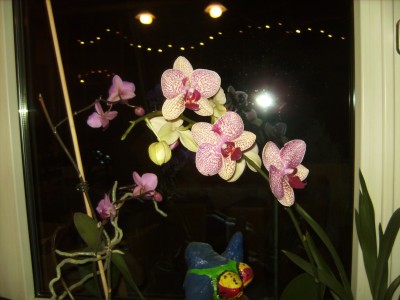 BILD3629.JPG