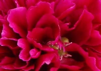 Meine Bilder 517b.jpg