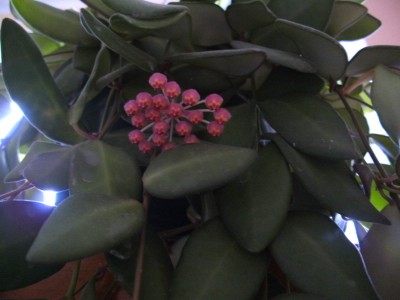 BILD0484.JPG