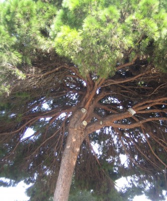20100119_0001_2.JPG