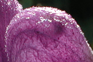 raetsel-100122.png