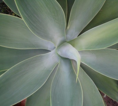 20100116_0001_1.JPG
