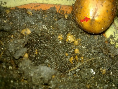 23012010248.jpg