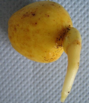 20100104_0001_1.JPG