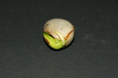 Jack_Salak 003.jpg