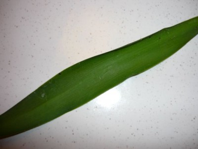 111.jpg