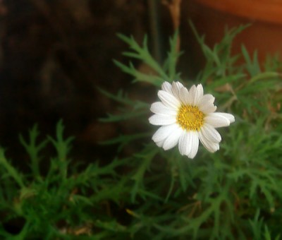 _MG_6240.jpg