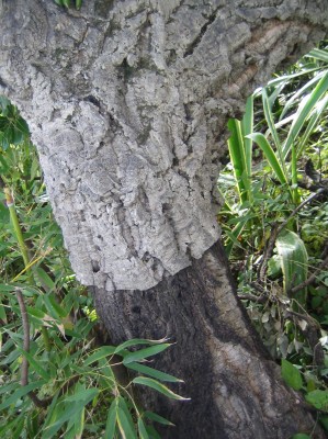 20100117_0001_4.JPG