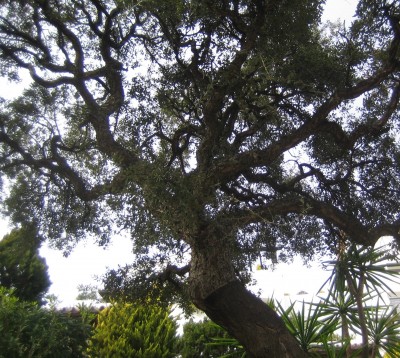 20100117_0001_6.JPG