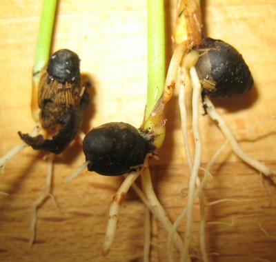20100107_0001_2.JPG