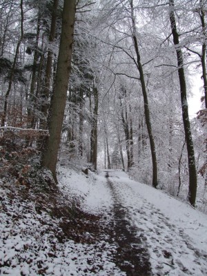 DSCF5038.JPG