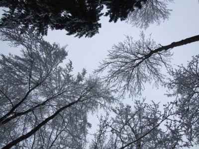 DSCF5035.JPG