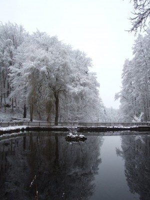 DSCF5023.JPG