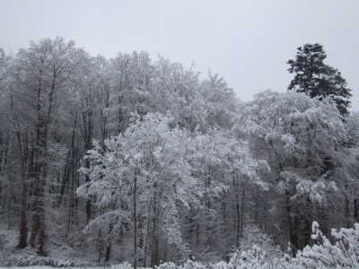 DSCF5020.JPG