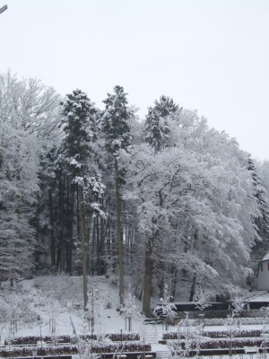 DSCF5017.JPG