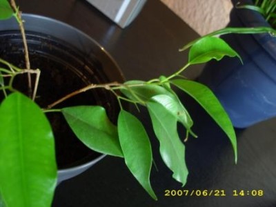Bild 018.jpg