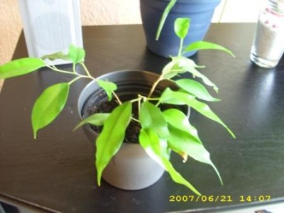 Bild 017.jpg