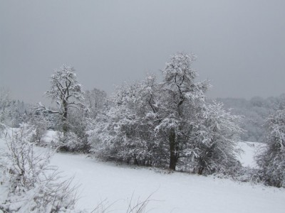 DSCF5134.JPG