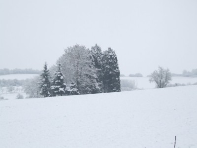 DSCF5132.JPG