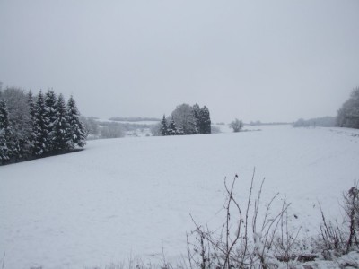 DSCF5130.JPG