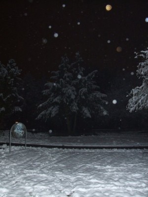 DSCF5059.JPG