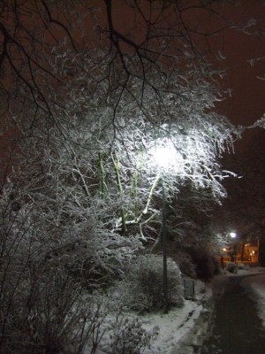 DSCF5054.JPG
