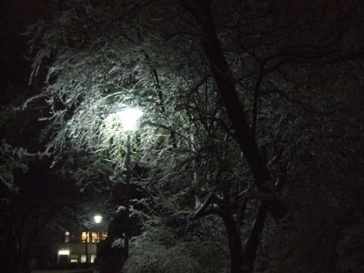DSCF5053.JPG