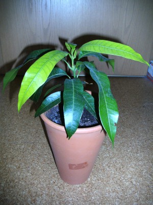 BILD0493.JPG