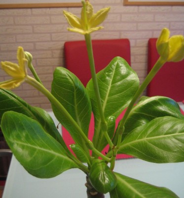 20091104_0001_6.JPG