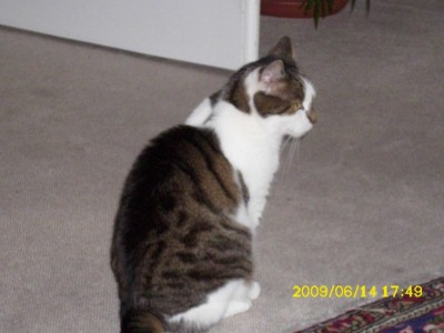 DSCI0007 [800x600].JPG