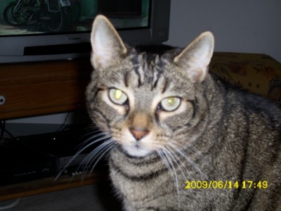 DSCI0006 [800x600].JPG