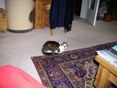 DSCI0001 [800x600].JPG