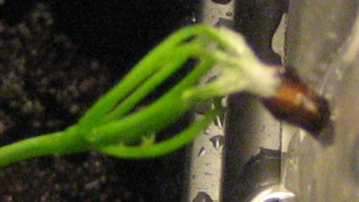 IMG_6693.JPG