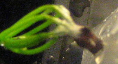 IMG_6692.JPG