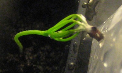 IMG_6691.JPG