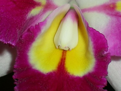 RSCN63130001.JPG