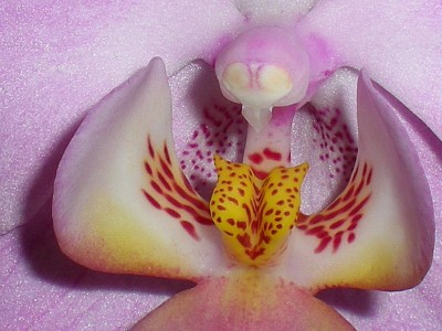 RSCN63090001.JPG