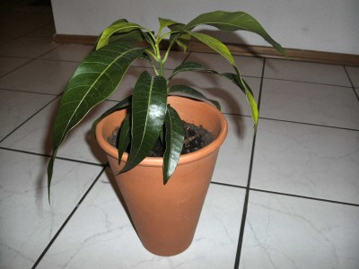 BILD0350.JPG