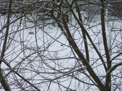 DSCF0353.JPG