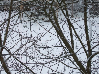 DSCF0356.JPG