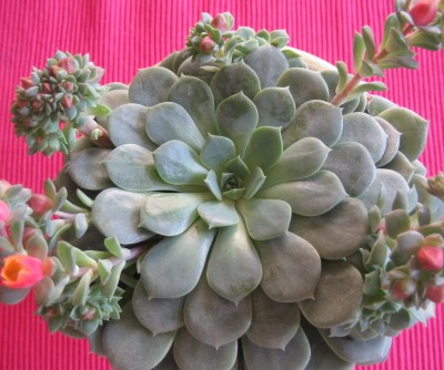 20100130_0001_1.JPG