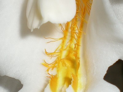 RSCN63480001.JPG