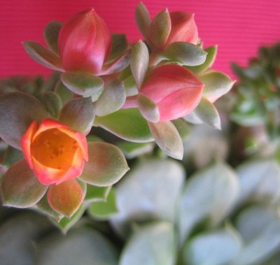 20100130_0001.JPG