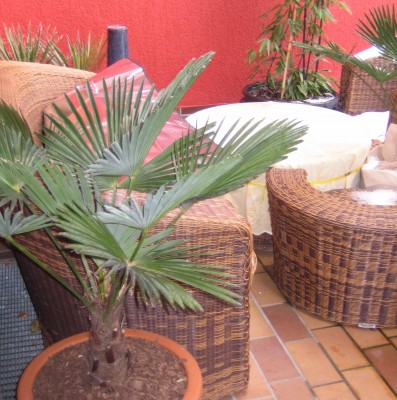 20100131_0001_1.JPG