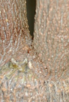 raten2.jpg